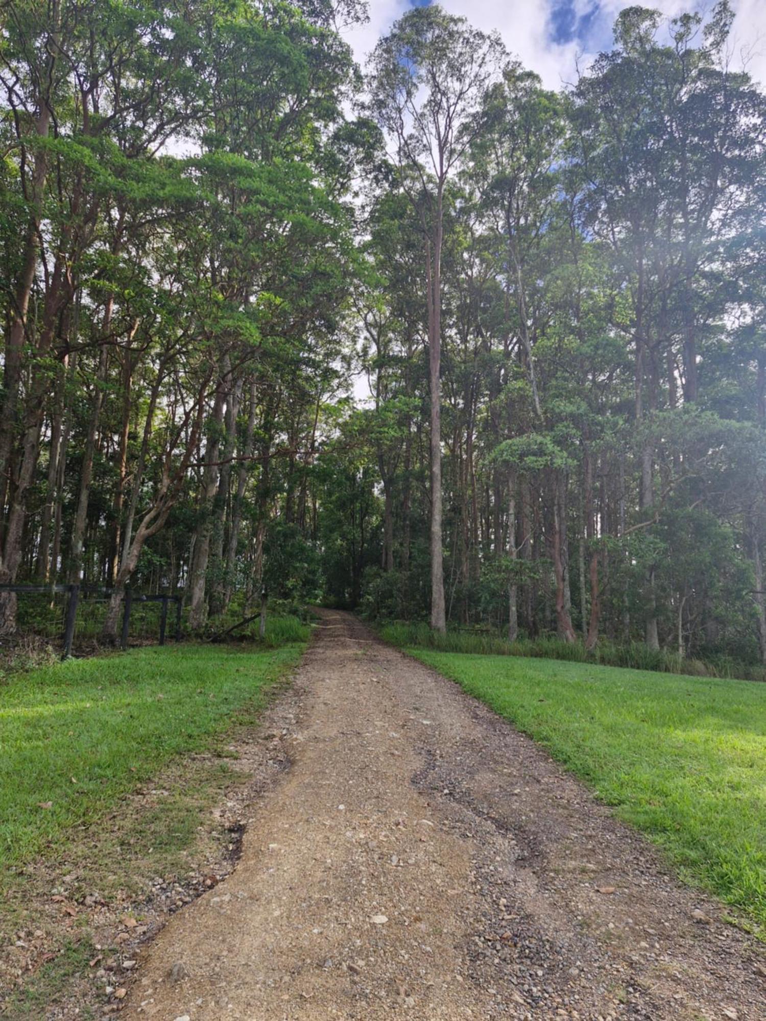 Country Cottage Sunshine Coast มอนต์วิลล์ ภายนอก รูปภาพ