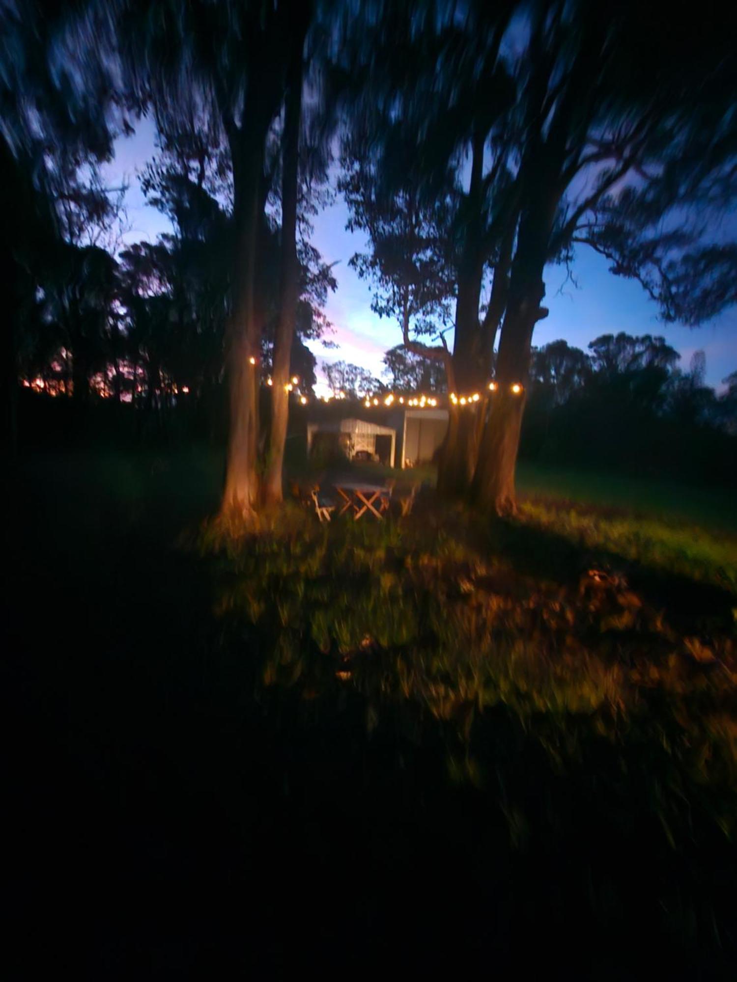 Country Cottage Sunshine Coast มอนต์วิลล์ ภายนอก รูปภาพ
